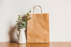 paper-bag-plant